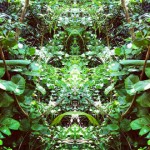 Mirrorgram 2