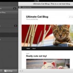 Wordpress for iPad 1