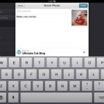 Wordpress for iPad 2