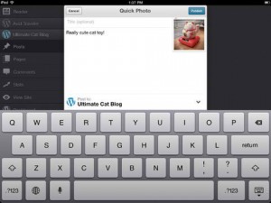 Wordpress for iPad 2