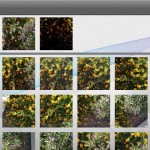 iLapse version 1.2 (iPhone 4S) - Photo Blending Library