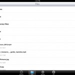 Ultimate Downloader Pro (iPad 2) - File Manager